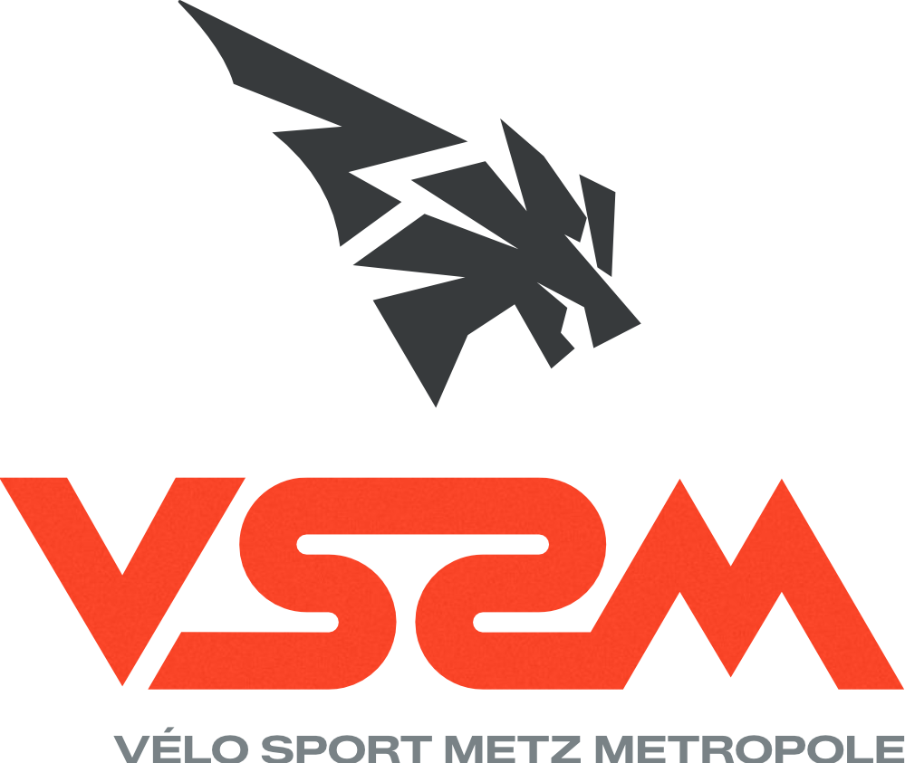 VS2M